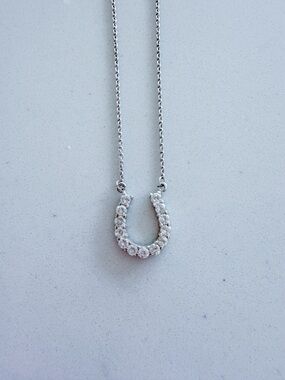 Silver Horseshoe Pendant Necklace with Clear Crystals